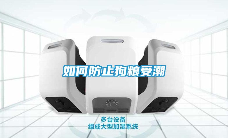 如何防止狗粮受潮