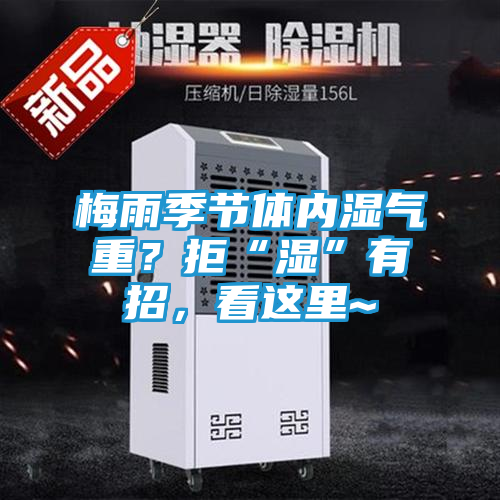 梅雨季节体内湿气重？拒“湿”有招，看这里~