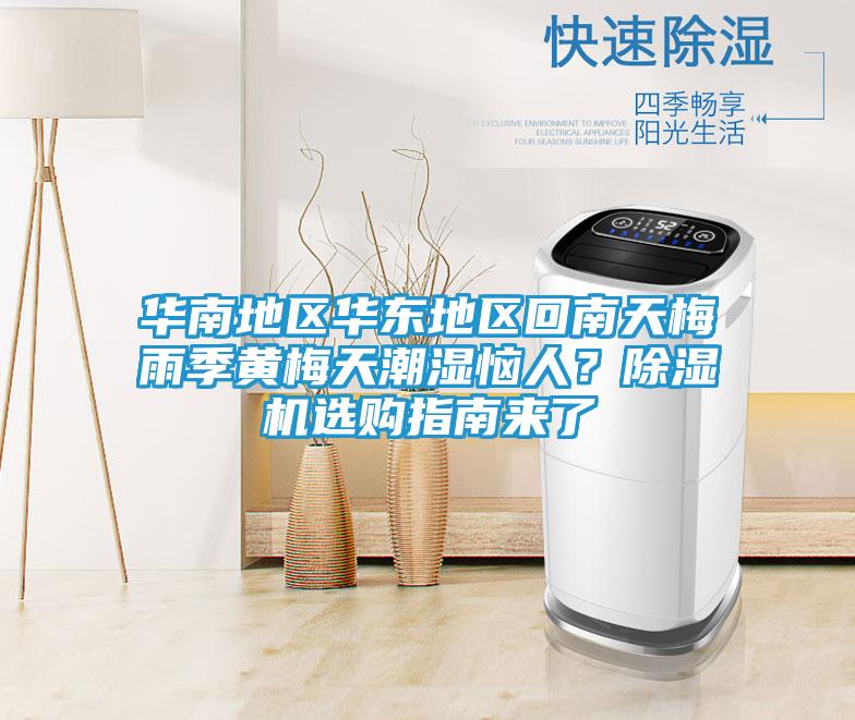 华南地区华东地区回南天梅雨季黄梅天潮湿恼人？除湿机选购指南来了
