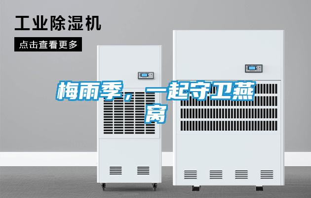 梅雨季，一起守卫燕窝