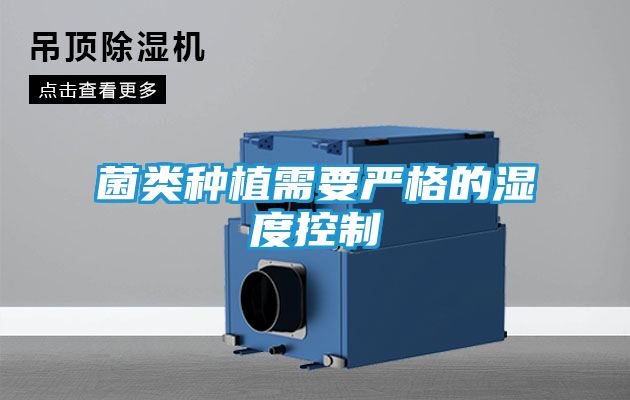 菌类种植需要严格的湿度控制