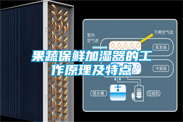 果蔬保鲜加湿器的工作原理及特点