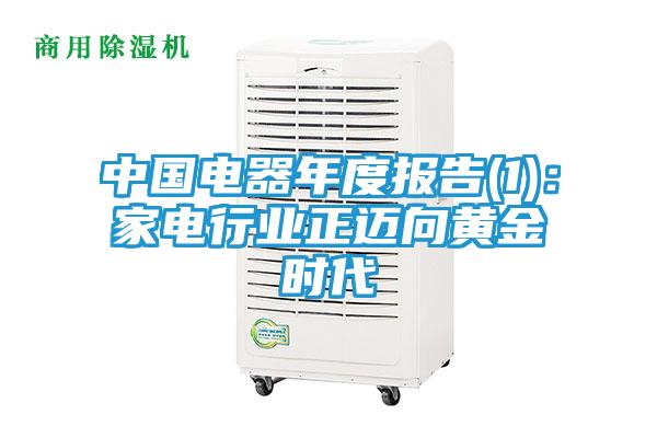 中国电器年度报告(1)：家电行业正迈向黄金时代