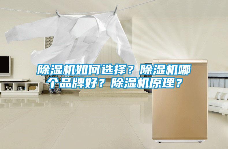 除湿机如何选择？除湿机哪个品牌好？除湿机原理？