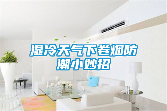湿冷天气下卷烟防潮小妙招