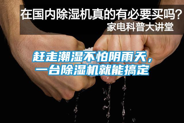赶走潮湿不怕阴雨天,一台除湿机就能搞定