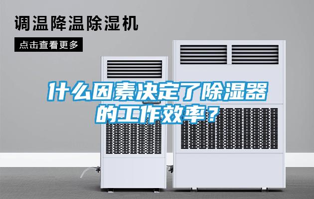 什么因素决定了除湿器的工作效率?