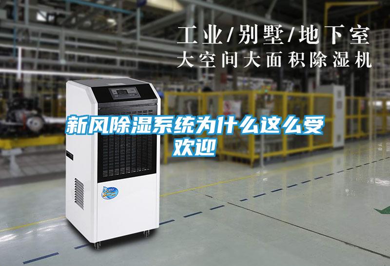 新风除湿系统为什么这么受欢迎