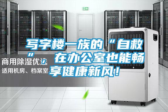 写字楼一族的“自救”,在办公室也能畅享健康新风!