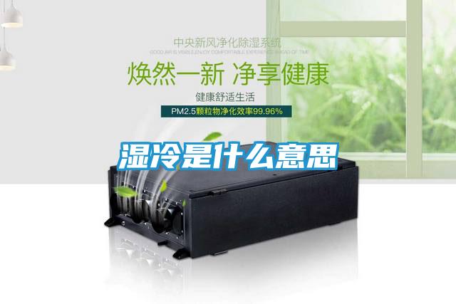 湿冷是什么意思