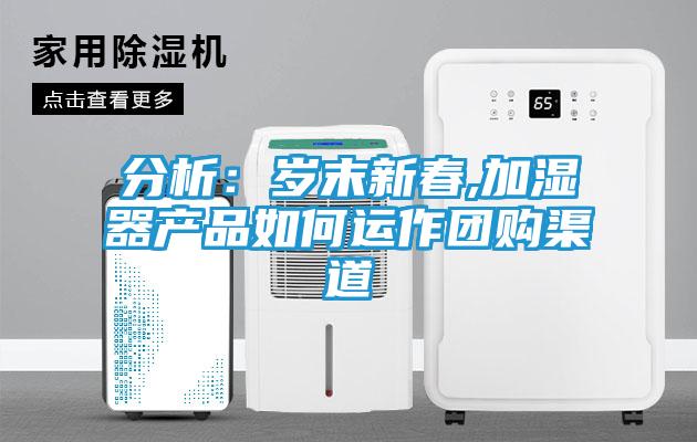 分析：岁末新春,加湿器产品如何运作团购渠道