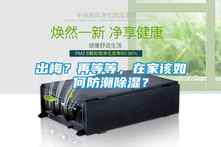出梅？再等等，在家该如何防潮除湿？