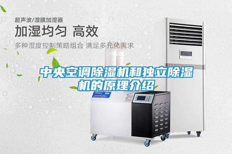 中央空调除湿机和独立除湿机的原理介绍