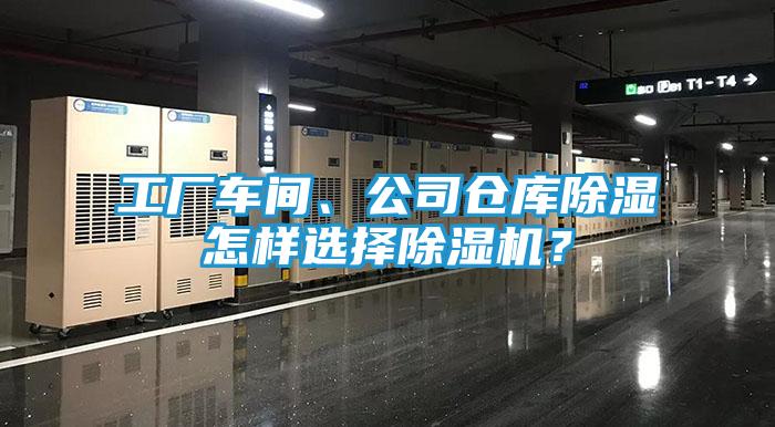 工厂车间、公司仓库除湿怎样选择除湿机？