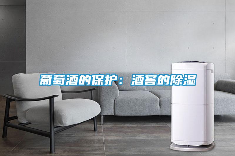 葡萄酒的保护：酒窖的除湿