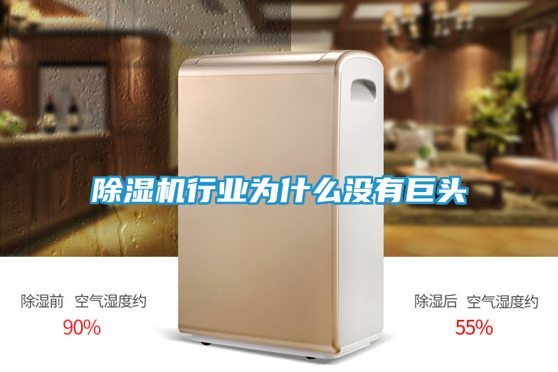 除湿机行业为什么没有巨头