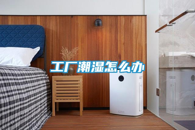 工厂潮湿怎么办