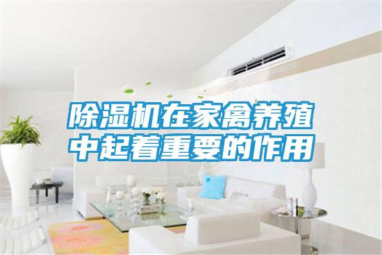 除湿机在家禽养殖中起着重要的作用