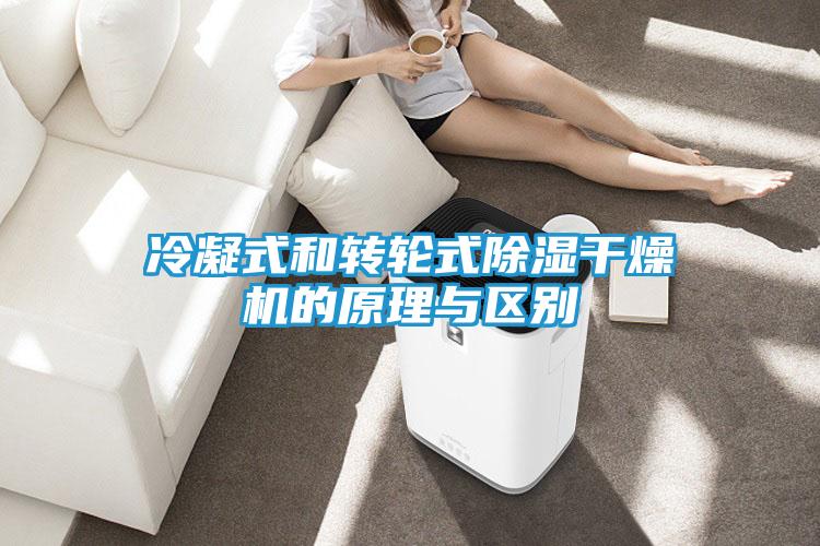冷凝式和转轮式除湿干燥机的原理与区别