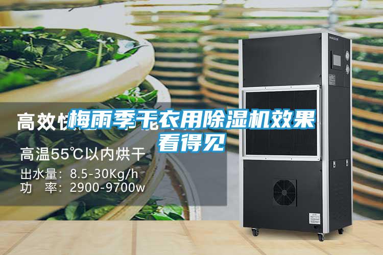 梅雨季干衣用除湿机效果看得见