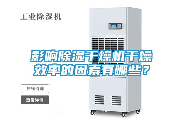 影响除湿干燥机干燥效率的因素有哪些?
