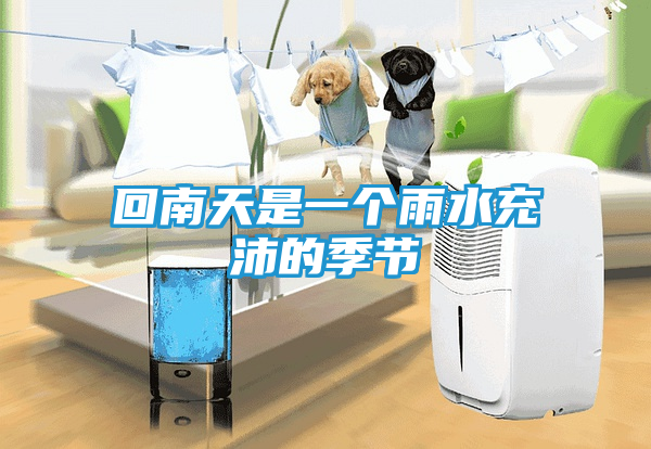 回南天是一个雨水充沛的季节