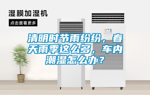 清明时节雨纷纷，春天雨季这么多，车内潮湿怎么办？