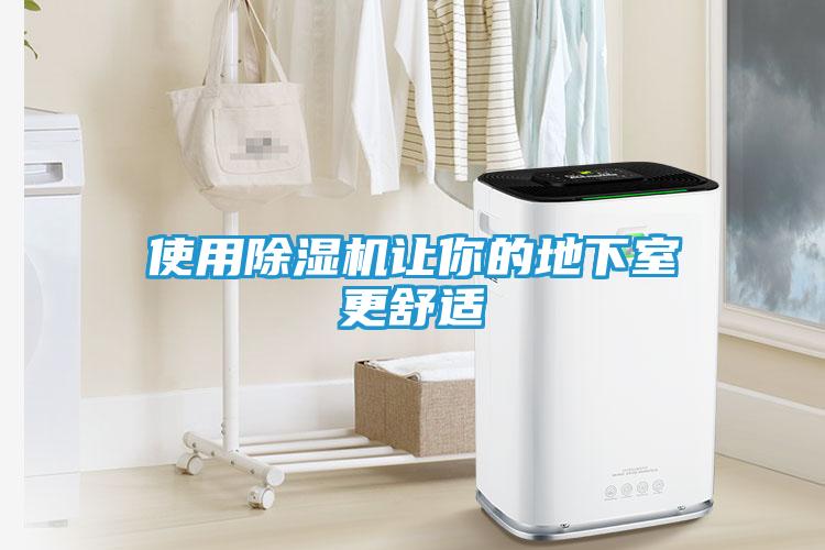 使用除湿机让你的地下室更舒适
