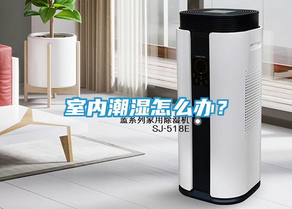 室内潮湿怎么办？