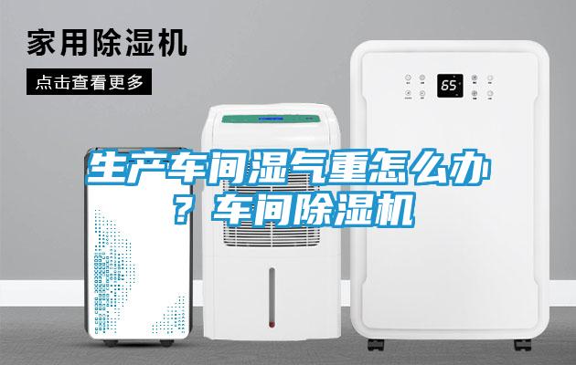 生产车间湿气重怎么办?车间除湿机