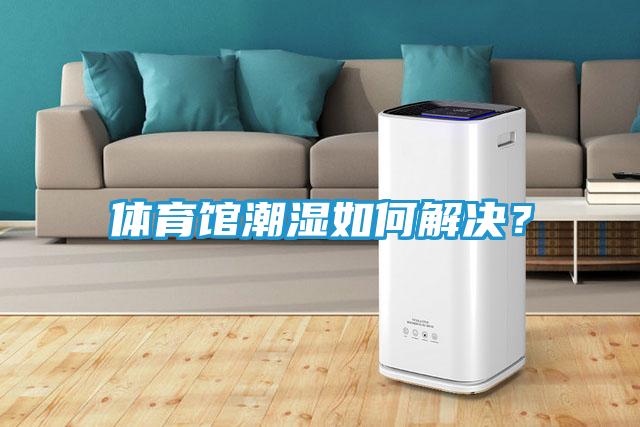 体育馆潮湿如何解决？