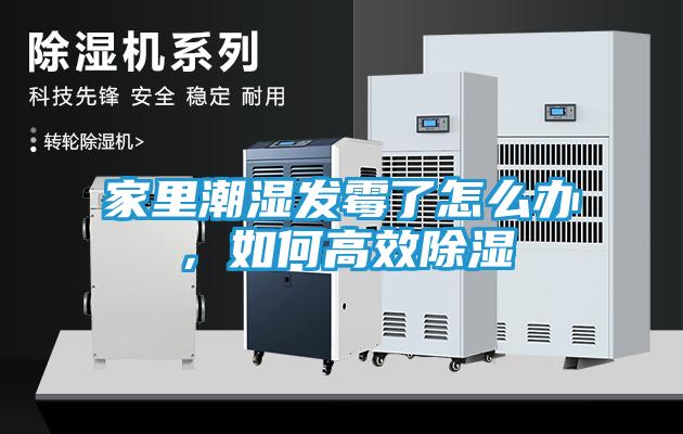 家里潮湿发霉了怎么办，如何高效除湿