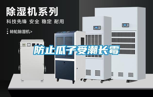 防止瓜子受潮长霉