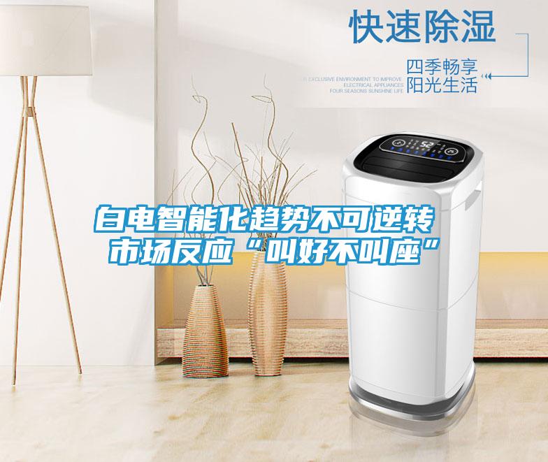 白电智能化趋势不可逆转 市场反应“叫好不叫座”