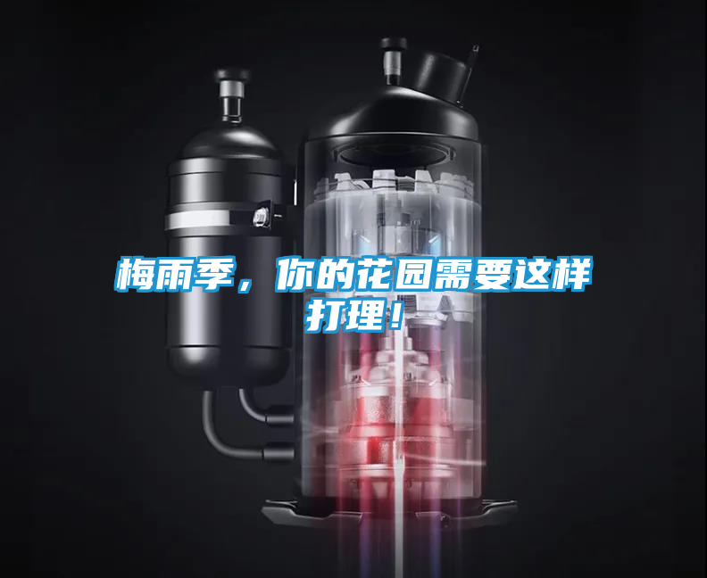 梅雨季，你的花园需要这样打理！