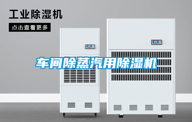 车间除蒸汽用除湿机