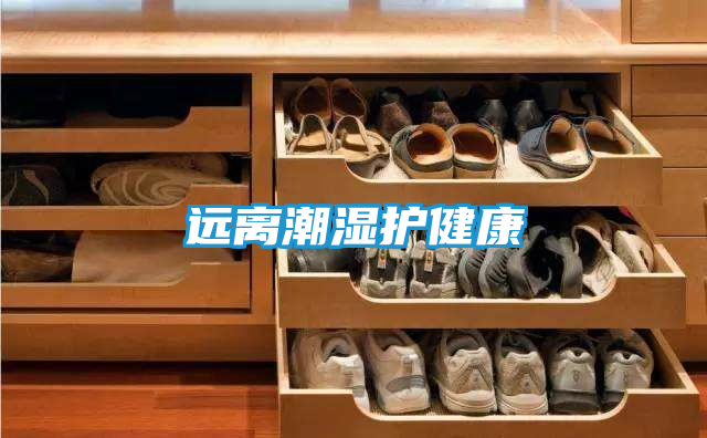 远离潮湿护健康