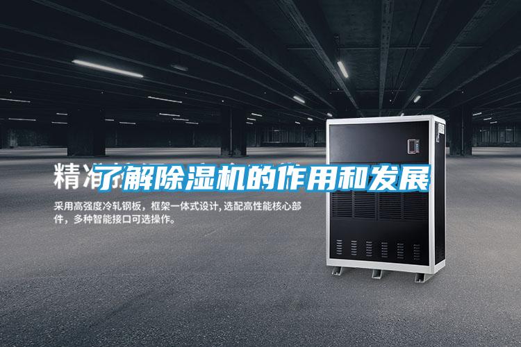 了解除湿机的作用和发展