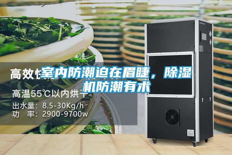 室内防潮迫在眉睫，除湿机防潮有术