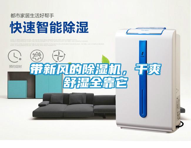 带新风的除湿机,干爽舒湿全靠它