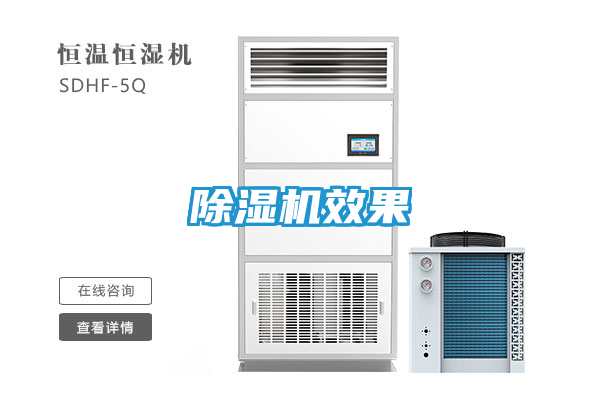 除湿机效果