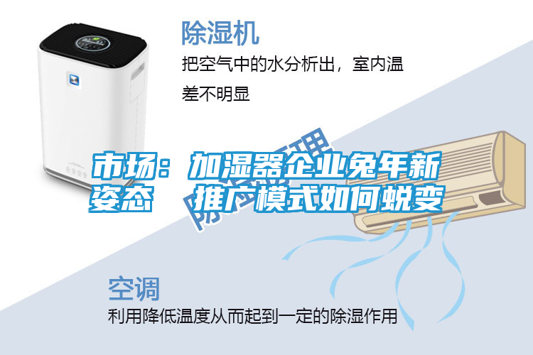 市场：加湿器企业兔年新姿态  推广模式如何蜕变