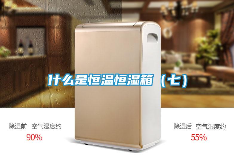 什么是恒温恒湿箱（七）