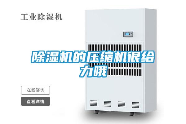 除湿机的压缩机很给力哦