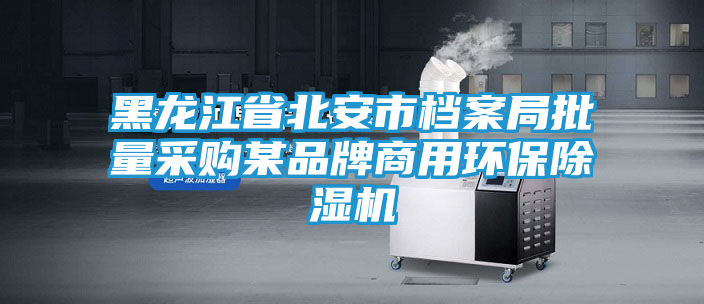 黑龙江省北安市档案局批量采购某品牌商用环保除湿机