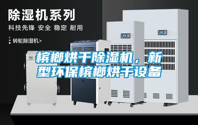槟榔烘干除湿机，新型环保槟榔烘干设备