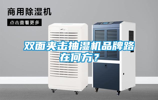 双面夹击抽湿机品牌路在何方？