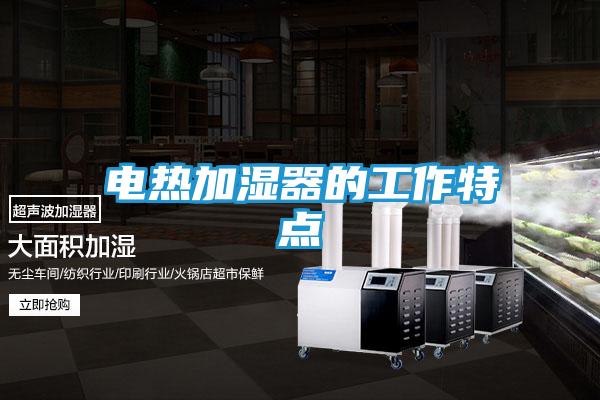 电热加湿器的工作特点