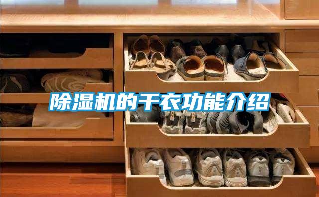 除湿机的干衣功能介绍