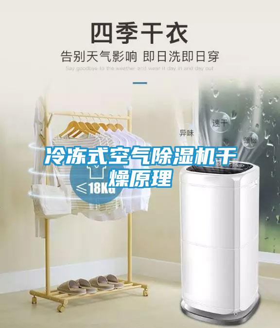 冷冻式空气除湿机干燥原理